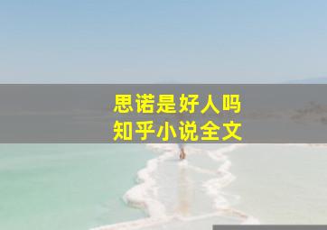 思诺是好人吗知乎小说全文