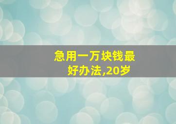 急用一万块钱最好办法,20岁