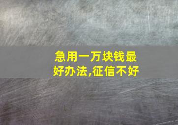 急用一万块钱最好办法,征信不好