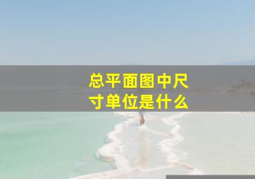 总平面图中尺寸单位是什么