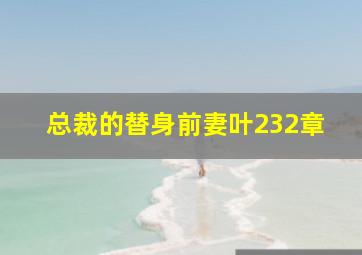 总裁的替身前妻叶232章