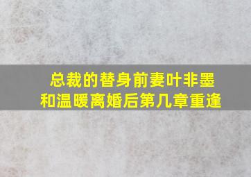 总裁的替身前妻叶非墨和温暖离婚后第几章重逢