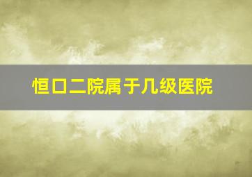 恒口二院属于几级医院