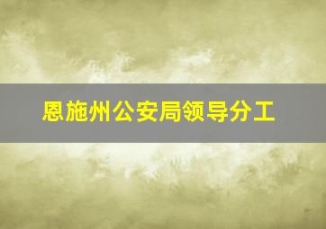 恩施州公安局领导分工