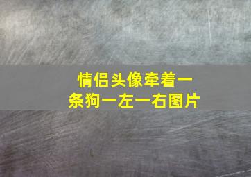 情侣头像牵着一条狗一左一右图片