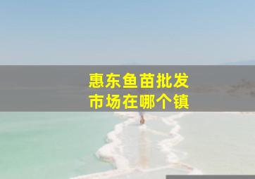 惠东鱼苗批发市场在哪个镇