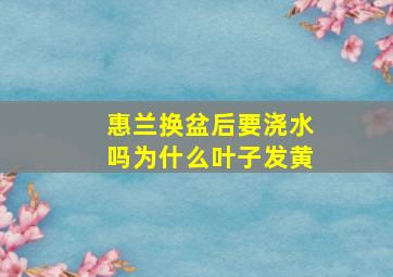 惠兰换盆后要浇水吗为什么叶子发黄