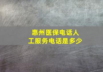 惠州医保电话人工服务电话是多少