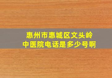 惠州市惠城区文头岭中医院电话是多少号啊