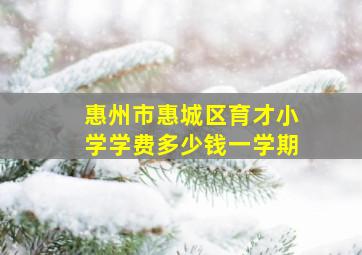 惠州市惠城区育才小学学费多少钱一学期