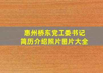 惠州桥东党工委书记简历介绍照片图片大全