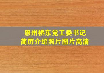 惠州桥东党工委书记简历介绍照片图片高清