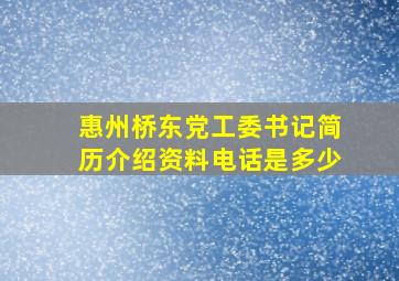 惠州桥东党工委书记简历介绍资料电话是多少