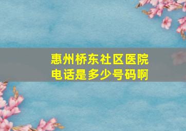 惠州桥东社区医院电话是多少号码啊