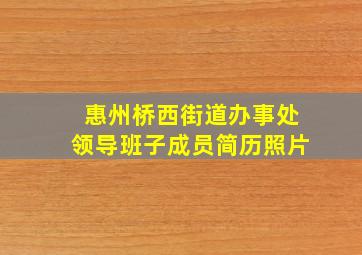 惠州桥西街道办事处领导班子成员简历照片