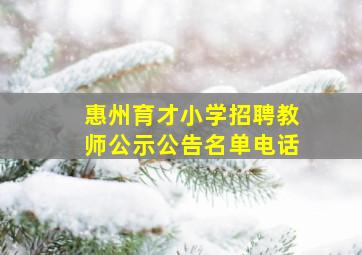 惠州育才小学招聘教师公示公告名单电话