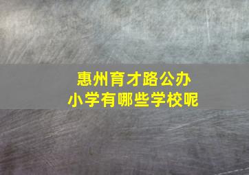 惠州育才路公办小学有哪些学校呢