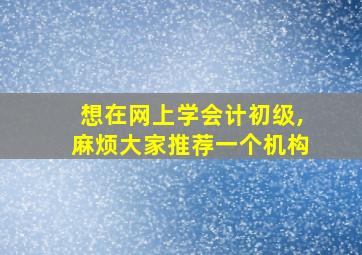 想在网上学会计初级,麻烦大家推荐一个机构