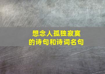 想念人孤独寂寞的诗句和诗词名句