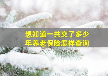 想知道一共交了多少年养老保险怎样查询