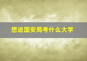 想进国安局考什么大学