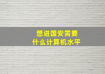 想进国安需要什么计算机水平