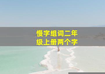 慢字组词二年级上册两个字