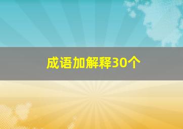 成语加解释30个