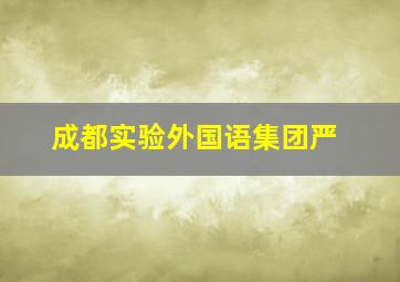 成都实验外国语集团严