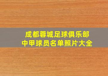 成都蓉城足球俱乐部中甲球员名单照片大全