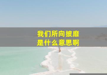 我们所向披靡是什么意思啊