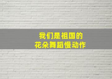 我们是祖国的花朵舞蹈慢动作