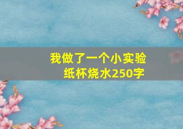 我做了一个小实验纸杯烧水250字