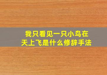 我只看见一只小鸟在天上飞是什么修辞手法