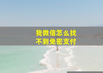 我微信怎么找不到免密支付