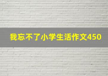 我忘不了小学生活作文450