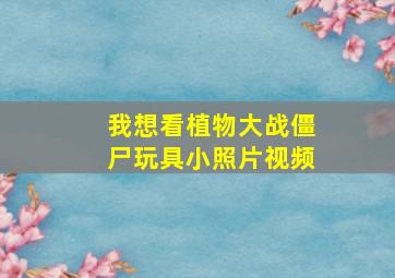 我想看植物大战僵尸玩具小照片视频