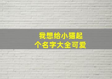 我想给小猫起个名字大全可爱