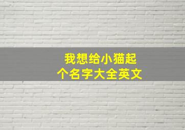 我想给小猫起个名字大全英文