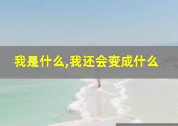 我是什么,我还会变成什么