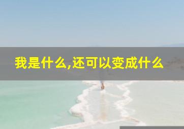 我是什么,还可以变成什么