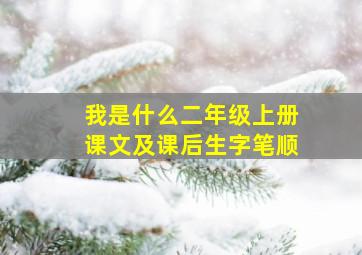 我是什么二年级上册课文及课后生字笔顺