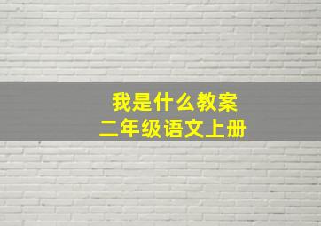 我是什么教案二年级语文上册