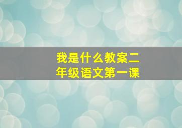 我是什么教案二年级语文第一课