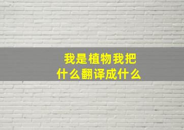 我是植物我把什么翻译成什么