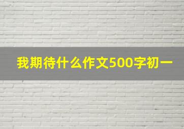 我期待什么作文500字初一