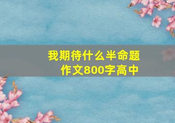 我期待什么半命题作文800字高中