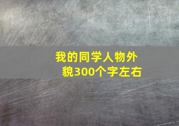 我的同学人物外貌300个字左右