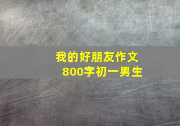 我的好朋友作文800字初一男生