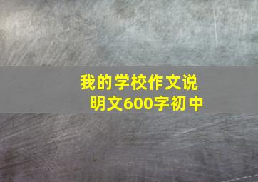 我的学校作文说明文600字初中